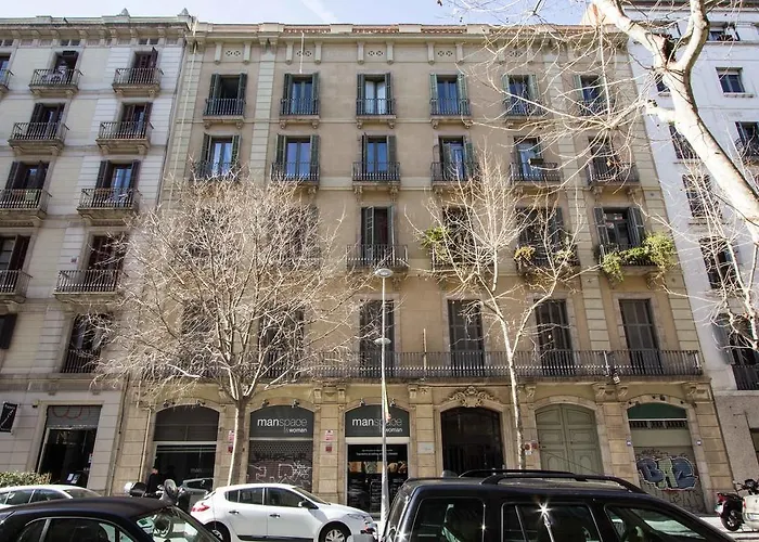 Bcn 41 *